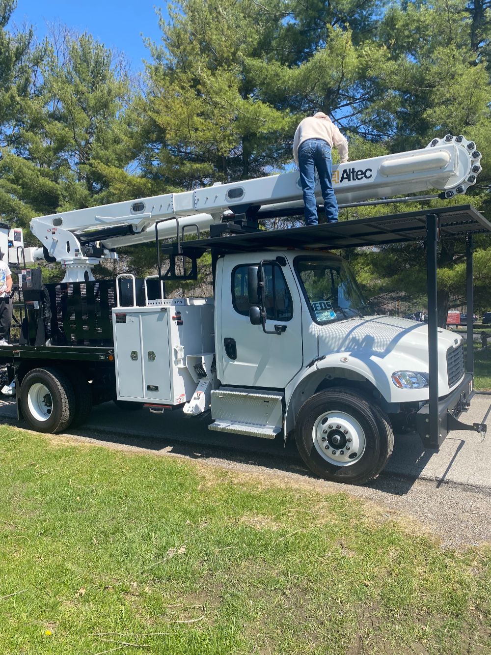 Professional Tree Care (1)