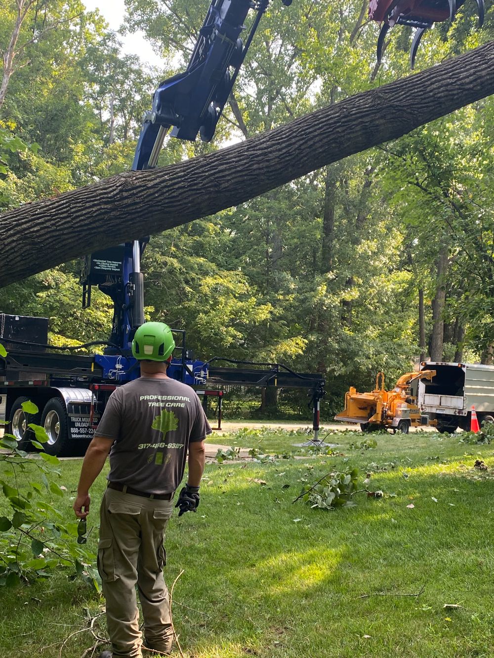 Professional Tree Care (10)