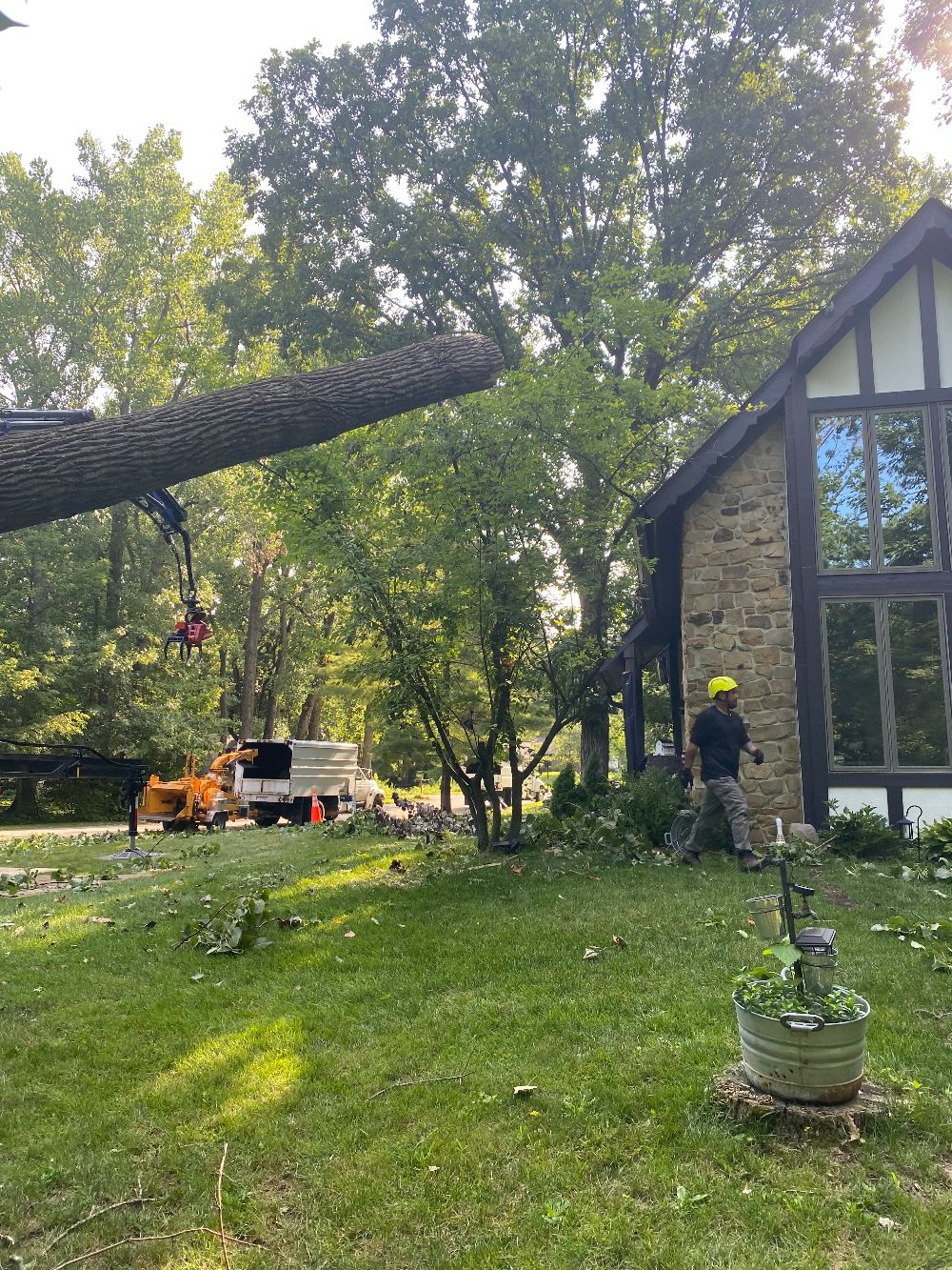 Professional Tree Care (8)