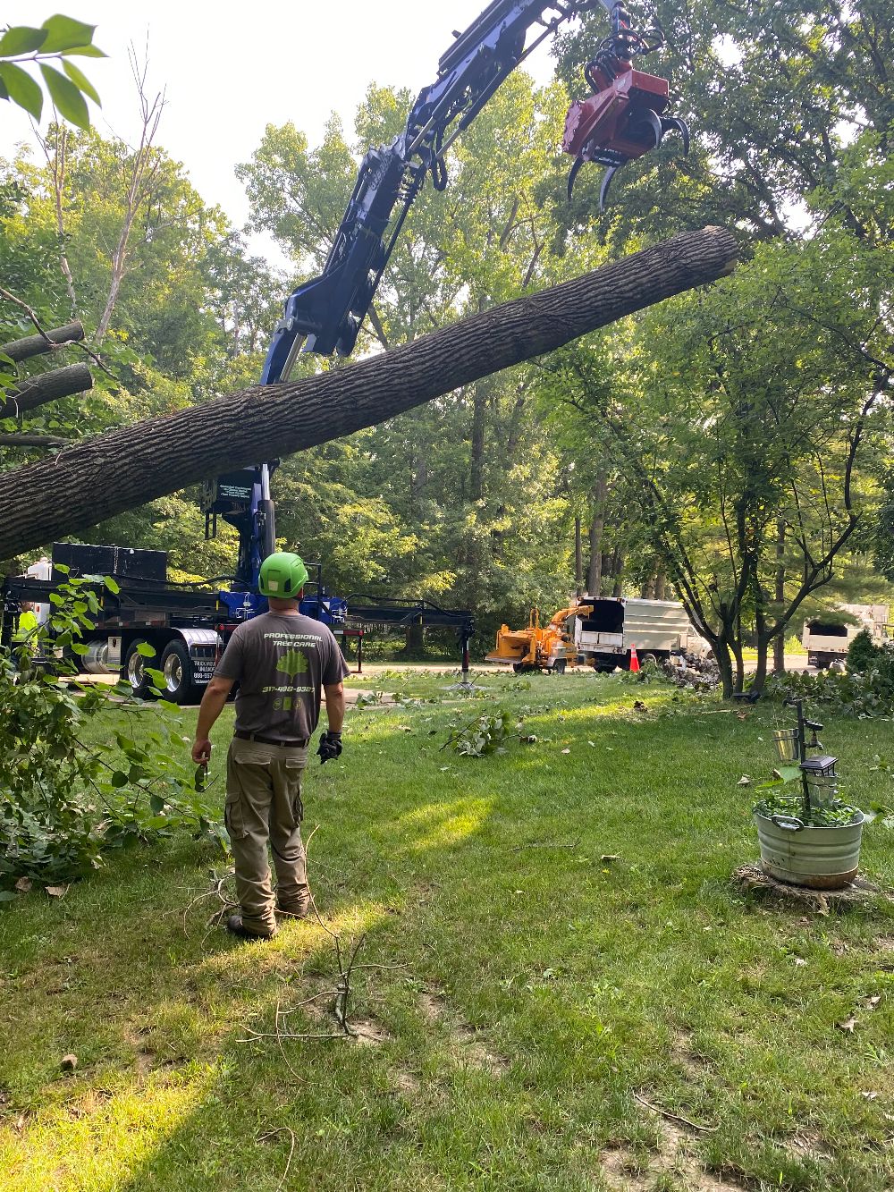 Professional Tree Care (9)